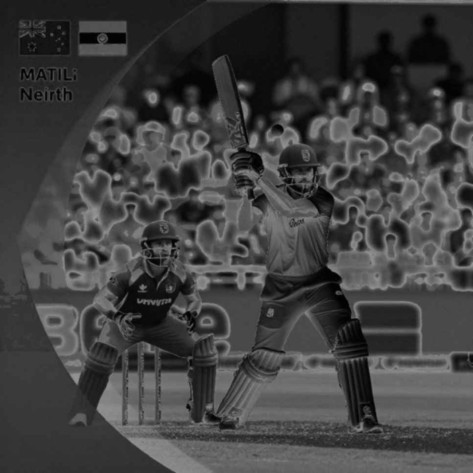 The Ledger of Zero: The Bangladeshi Cricket Matches That Left No Record The Ledger of Zero: The Bangladeshi Cricket Matches That Left No Record